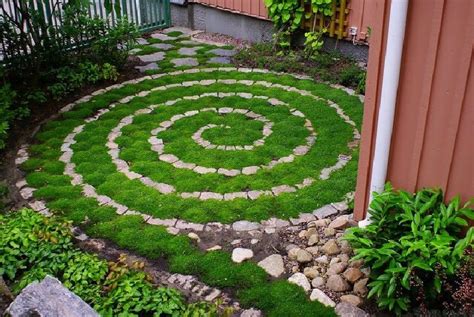 Unlock the Magic of Lawn Care: Essential Techniques for a Gorgeous Yard